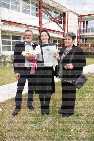 Νεώτερη και Σύγχρονη Ελληνική Ιστορία, Δημόσια Ιστορία