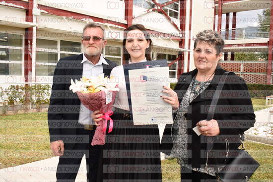 Νεώτερη και Σύγχρονη Ελληνική Ιστορία, Δημόσια Ιστορία