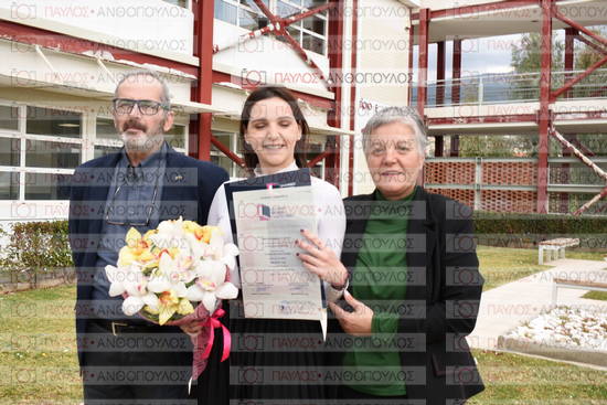 Νεώτερη και Σύγχρονη Ελληνική Ιστορία, Δημόσια Ιστορία