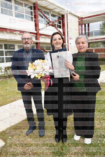 Νεώτερη και Σύγχρονη Ελληνική Ιστορία, Δημόσια Ιστορία