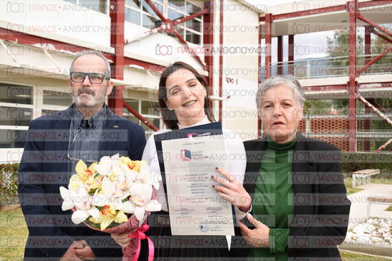 Νεώτερη και Σύγχρονη Ελληνική Ιστορία, Δημόσια Ιστορία
