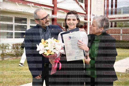 Νεώτερη και Σύγχρονη Ελληνική Ιστορία, Δημόσια Ιστορία