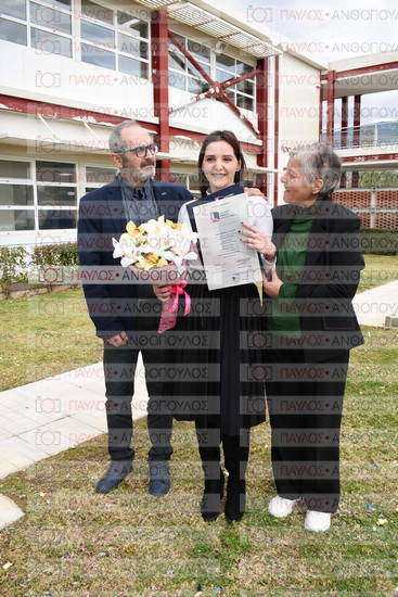 Νεώτερη και Σύγχρονη Ελληνική Ιστορία, Δημόσια Ιστορία