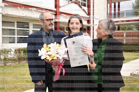 Νεώτερη και Σύγχρονη Ελληνική Ιστορία, Δημόσια Ιστορία