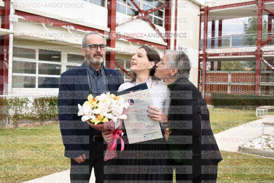 Νεώτερη και Σύγχρονη Ελληνική Ιστορία, Δημόσια Ιστορία