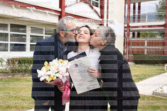 Νεώτερη και Σύγχρονη Ελληνική Ιστορία, Δημόσια Ιστορία
