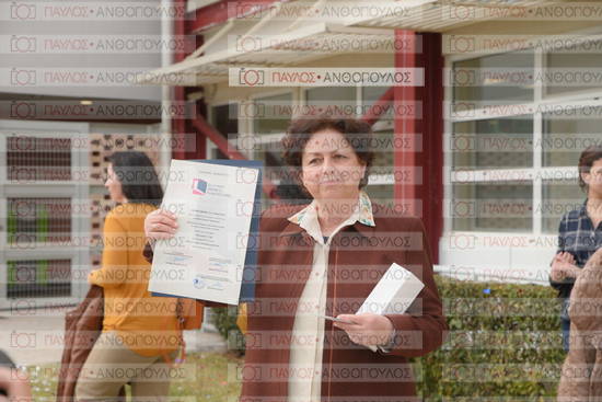 Νεώτερη και Σύγχρονη Ελληνική Ιστορία, Δημόσια Ιστορία