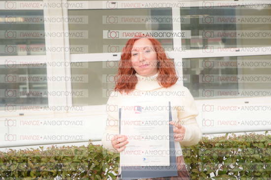 Νεώτερη και Σύγχρονη Ελληνική Ιστορία, Δημόσια Ιστορία