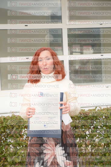Νεώτερη και Σύγχρονη Ελληνική Ιστορία, Δημόσια Ιστορία
