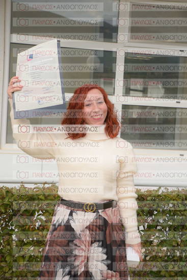 Νεώτερη και Σύγχρονη Ελληνική Ιστορία, Δημόσια Ιστορία