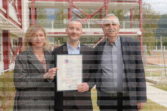 Νεώτερη και Σύγχρονη Ελληνική Ιστορία, Δημόσια Ιστορία