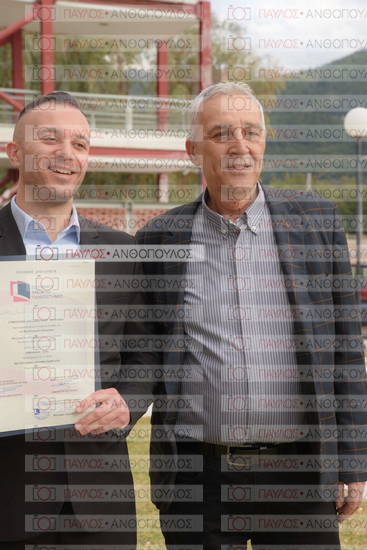 Νεώτερη και Σύγχρονη Ελληνική Ιστορία, Δημόσια Ιστορία