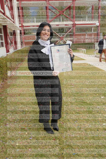 Νεώτερη και Σύγχρονη Ελληνική Ιστορία, Δημόσια Ιστορία