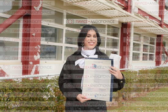 Νεώτερη και Σύγχρονη Ελληνική Ιστορία, Δημόσια Ιστορία