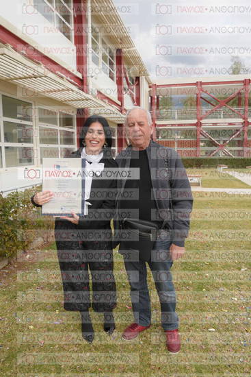 Νεώτερη και Σύγχρονη Ελληνική Ιστορία, Δημόσια Ιστορία