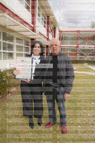 Νεώτερη και Σύγχρονη Ελληνική Ιστορία, Δημόσια Ιστορία