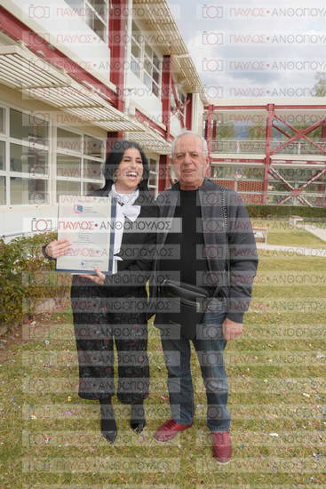 Νεώτερη και Σύγχρονη Ελληνική Ιστορία, Δημόσια Ιστορία