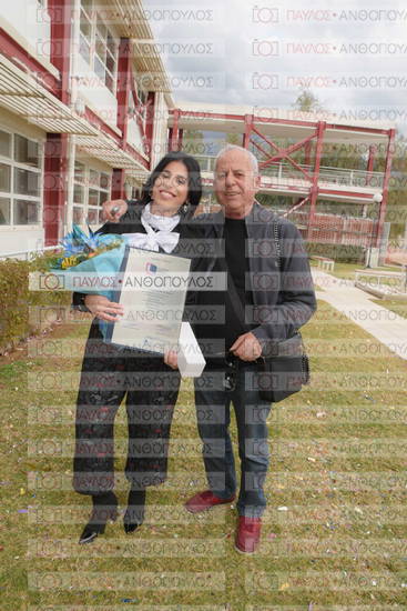 Νεώτερη και Σύγχρονη Ελληνική Ιστορία, Δημόσια Ιστορία