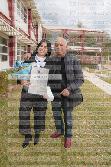 Νεώτερη και Σύγχρονη Ελληνική Ιστορία, Δημόσια Ιστορία