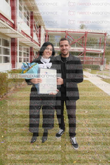 Νεώτερη και Σύγχρονη Ελληνική Ιστορία, Δημόσια Ιστορία