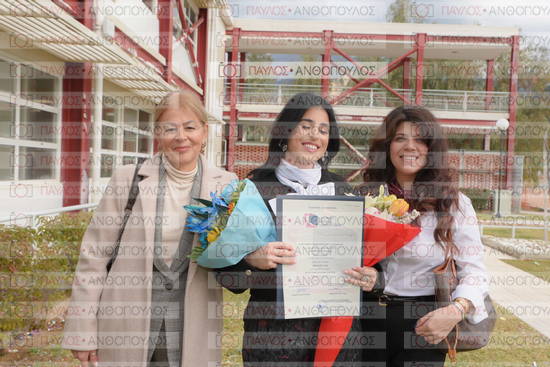 Νεώτερη και Σύγχρονη Ελληνική Ιστορία, Δημόσια Ιστορία