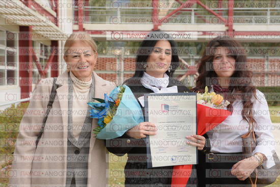 Νεώτερη και Σύγχρονη Ελληνική Ιστορία, Δημόσια Ιστορία