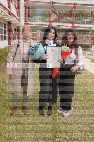 Νεώτερη και Σύγχρονη Ελληνική Ιστορία, Δημόσια Ιστορία