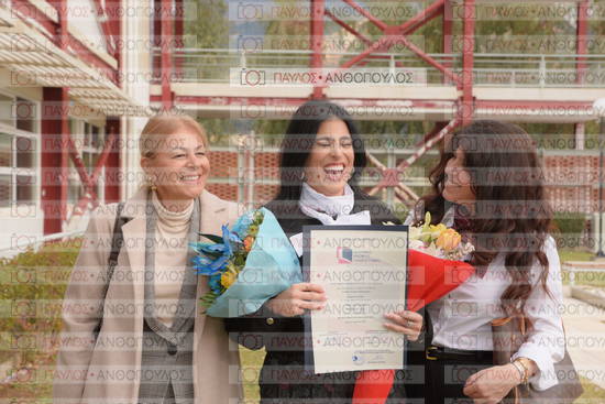 Νεώτερη και Σύγχρονη Ελληνική Ιστορία, Δημόσια Ιστορία