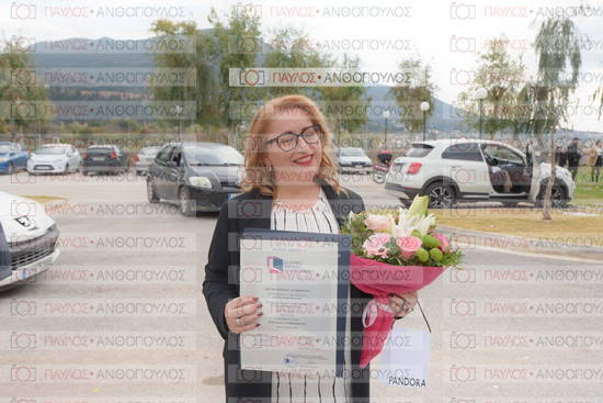 Νεώτερη και Σύγχρονη Ελληνική Ιστορία, Δημόσια Ιστορία