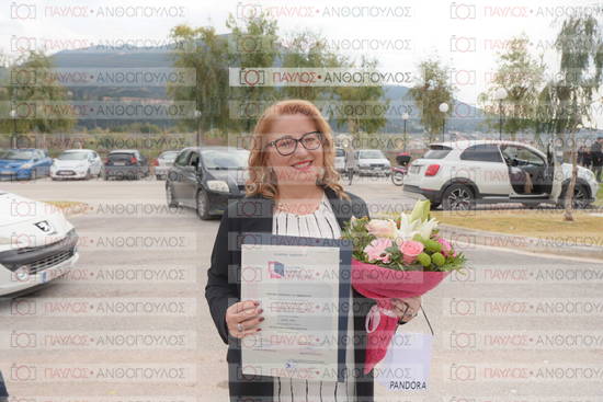 Νεώτερη και Σύγχρονη Ελληνική Ιστορία, Δημόσια Ιστορία
