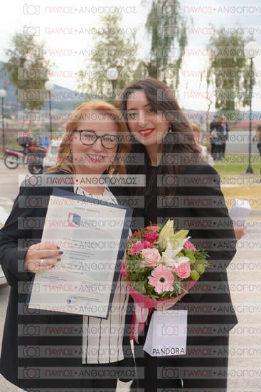 Νεώτερη και Σύγχρονη Ελληνική Ιστορία, Δημόσια Ιστορία