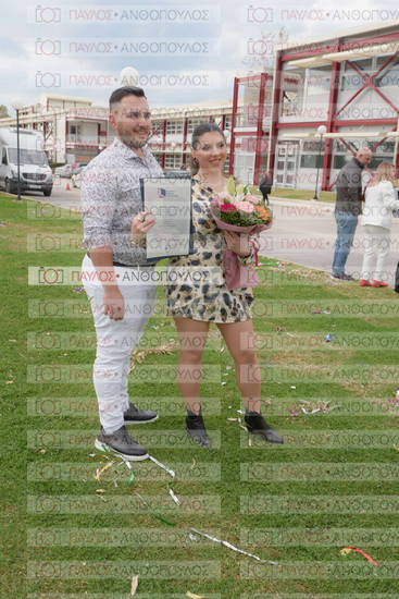 Νεώτερη και Σύγχρονη Ελληνική Ιστορία, Δημόσια Ιστορία