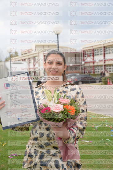 Νεώτερη και Σύγχρονη Ελληνική Ιστορία, Δημόσια Ιστορία