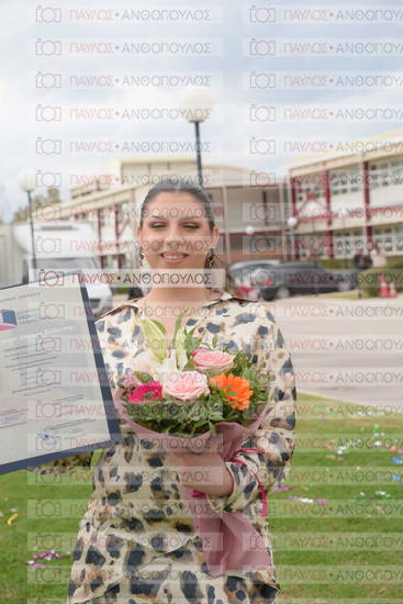Νεώτερη και Σύγχρονη Ελληνική Ιστορία, Δημόσια Ιστορία