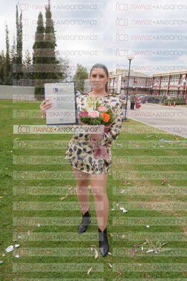 Νεώτερη και Σύγχρονη Ελληνική Ιστορία, Δημόσια Ιστορία