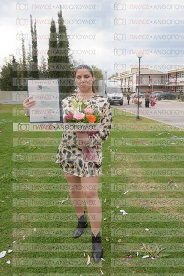 Νεώτερη και Σύγχρονη Ελληνική Ιστορία, Δημόσια Ιστορία