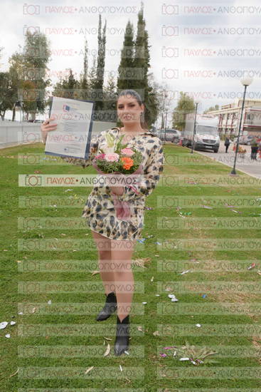 Νεώτερη και Σύγχρονη Ελληνική Ιστορία, Δημόσια Ιστορία