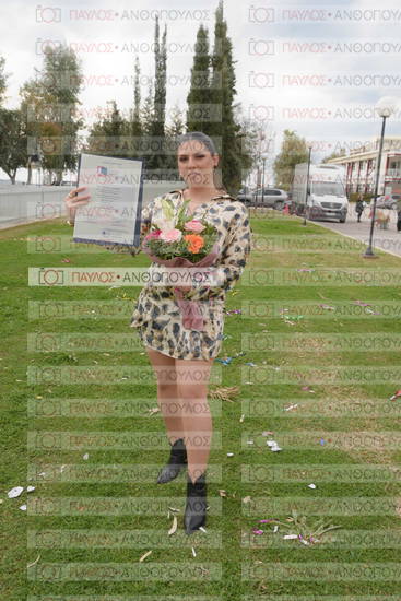 Νεώτερη και Σύγχρονη Ελληνική Ιστορία, Δημόσια Ιστορία