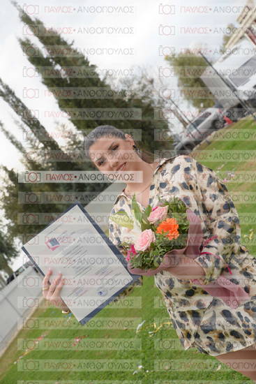 Νεώτερη και Σύγχρονη Ελληνική Ιστορία, Δημόσια Ιστορία