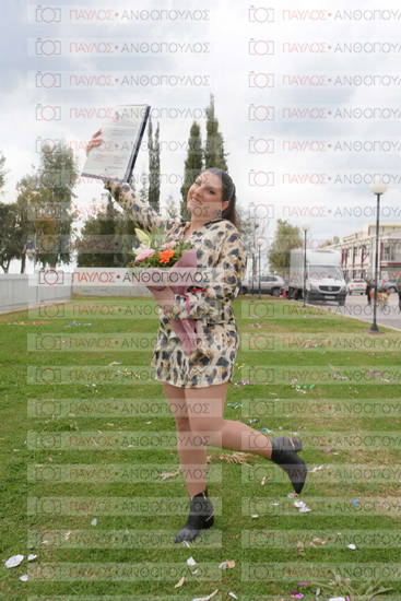 Νεώτερη και Σύγχρονη Ελληνική Ιστορία, Δημόσια Ιστορία