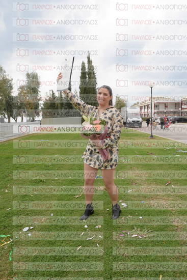Νεώτερη και Σύγχρονη Ελληνική Ιστορία, Δημόσια Ιστορία