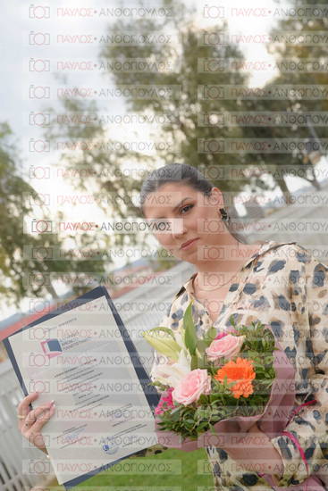 Νεώτερη και Σύγχρονη Ελληνική Ιστορία, Δημόσια Ιστορία