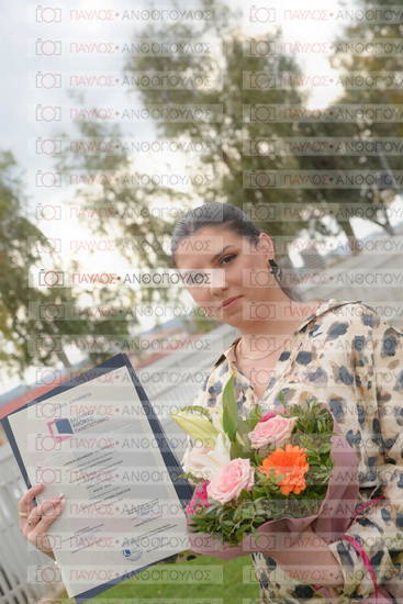 Νεώτερη και Σύγχρονη Ελληνική Ιστορία, Δημόσια Ιστορία