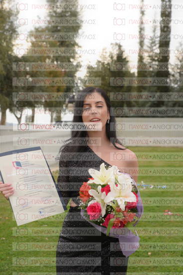 Νεώτερη και Σύγχρονη Ελληνική Ιστορία, Δημόσια Ιστορία