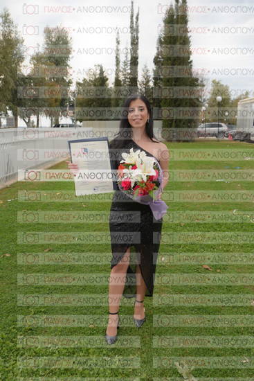 Νεώτερη και Σύγχρονη Ελληνική Ιστορία, Δημόσια Ιστορία