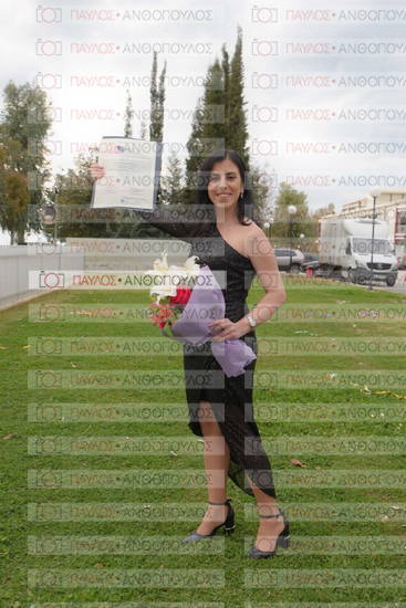 Νεώτερη και Σύγχρονη Ελληνική Ιστορία, Δημόσια Ιστορία