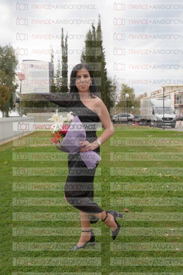Νεώτερη και Σύγχρονη Ελληνική Ιστορία, Δημόσια Ιστορία