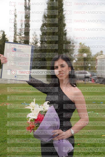 Νεώτερη και Σύγχρονη Ελληνική Ιστορία, Δημόσια Ιστορία