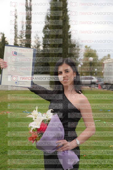 Νεώτερη και Σύγχρονη Ελληνική Ιστορία, Δημόσια Ιστορία