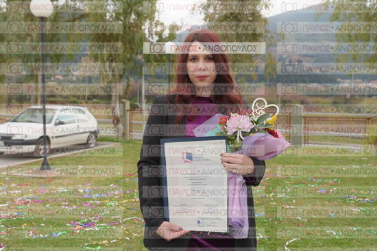 Νεώτερη και Σύγχρονη Ελληνική Ιστορία, Δημόσια Ιστορία